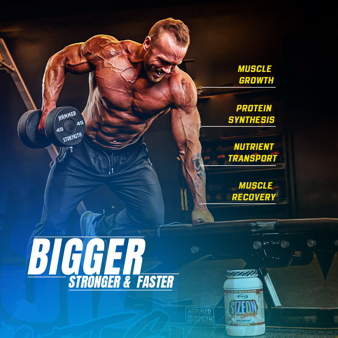 A muscular man lifting weights, showcasing the benefits of SizeOn Get Swole for Intra-Workout muscle growth.